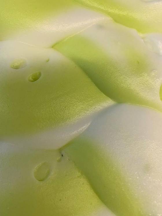 Lemon and Lime Sorbet gelato in the cabinet